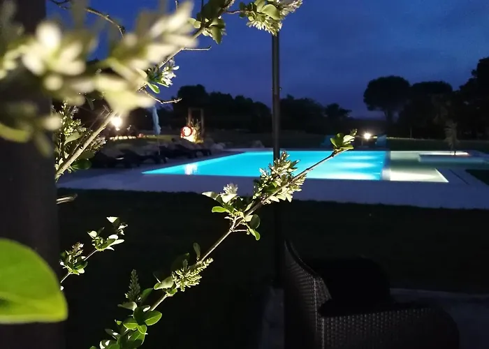 Pérola D'óbidos T3